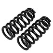 Load image into Gallery viewer, ARB / OME Coil Spring Front Mits Pajero - Back View