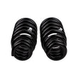 Load image into Gallery viewer, ARB / OME Coil Spring Front Triton - Back View