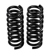 Load image into Gallery viewer, ARB / OME Coil Spring Front Vitara Hd - Back View
