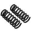 Load image into Gallery viewer, ARB / OME Coil Spring Front Vitara V6 - Back View