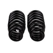 Load image into Gallery viewer, ARB / OME Coil Spring Mits Triton-06On - Side View