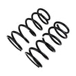 Load image into Gallery viewer, ARB / OME Coil Spring Rear 4Run Hd - Back View