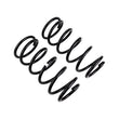 Load image into Gallery viewer, ARB / OME Coil Spring Rear 4Run Hd - Additional View 5