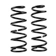 Load image into Gallery viewer, ARB / OME Coil Spring Rear 80 Hd - Main Product View