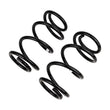 Load image into Gallery viewer, ARB / OME Coil Spring Rear Cherokee Kk - Back View