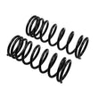 Load image into Gallery viewer, ARB / OME Coil Spring Rear Coil Gq Rear - Back View