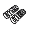Load image into Gallery viewer, ARB / OME Coil Spring Rear Coil Nissan Y61 Swbr - Installation View