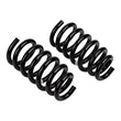 Load image into Gallery viewer, ARB / OME Coil Spring Rear Crv 12/01 To 01/07 - Back View