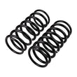 Load image into Gallery viewer, ARB / OME Coil Spring Rear G Wagon Med - Installation View