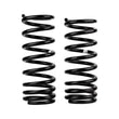 Load image into Gallery viewer, ARB / OME Coil Spring Rear Gu Hd- - Main Product View