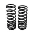 Load image into Gallery viewer, ARB / OME Coil Spring Rear Gu Hd- - Additional View 5