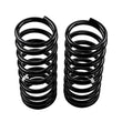 Load image into Gallery viewer, ARB / OME Coil Spring Rear Gu Hd - Additional View 5