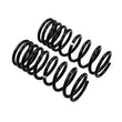 Load image into Gallery viewer, ARB / OME Coil Spring Rear Gu Low - Back View