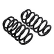 Load image into Gallery viewer, ARB / OME Coil Spring Rear Jeep Tj - Back View