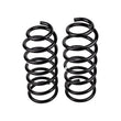 Load image into Gallery viewer, ARB / OME Coil Spring Rear Kia Sorrento - Back View