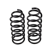 Load image into Gallery viewer, ARB / OME Coil Spring Rear Kia Sorrento - Back View