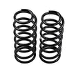 Load image into Gallery viewer, ARB / OME Coil Spring Rear Lc Rj70 - Back View
