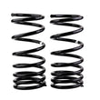 Load image into Gallery viewer, ARB / OME Coil Spring Rear Mits Paj Hd - Main Product View