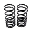 Load image into Gallery viewer, ARB / OME Coil Spring Rear Mits Paj Hd - Additional View 5