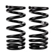 Load image into Gallery viewer, ARB / OME Coil Spring Rear Mits Pajero Ns On - Main Product View