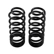 Load image into Gallery viewer, ARB / OME Coil Spring Rear Np300 200Kg - Back View