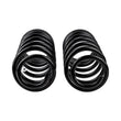 Load image into Gallery viewer, ARB / OME Coil Spring Rear Np300 Med - Main Product View