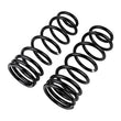 Load image into Gallery viewer, ARB / OME Coil Spring Rear Np300 Med - Back View