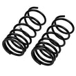 Load image into Gallery viewer, ARB / OME Coil Spring Rear Paj Swb - Back View