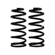 Load image into Gallery viewer, ARB / OME Coil Spring Rear Prado 150 - Main Product View
