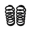 Load image into Gallery viewer, ARB / OME Coil Spring Rear Prado 150 - Back View