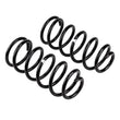 Load image into Gallery viewer, ARB / OME Coil Spring Rear Prado 4/03On - Back View