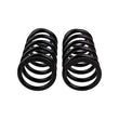 Load image into Gallery viewer, ARB / OME Coil Spring Rear Prado 4/03On - Side View