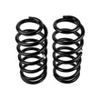 Load image into Gallery viewer, ARB / OME Coil Spring Rear Prado 4/03On - Back View