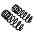 Load image into Gallery viewer, ARB / OME Coil Spring Rear Prado To 2003 - Back View