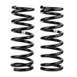 Load image into Gallery viewer, ARB / OME Coil Spring Rear R51 Pathfider Hd - Main Product View