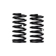 Load image into Gallery viewer, ARB / OME Coil Spring Rear Rav4 Lwb To 00 - Main Product View