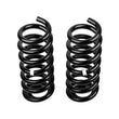 Load image into Gallery viewer, ARB / OME Coil Spring Rear Spring Wk2Medium - Back View