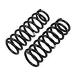 Load image into Gallery viewer, ARB / OME Coil Spring Rear Suzuki Sn413-Europe - Back View