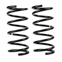 Load image into Gallery viewer, ARB / OME Coil Spring Rear Terracan &amp; Hd - Main Product View