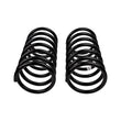Load image into Gallery viewer, ARB / OME Coil Spring Rear Terracanr - Side View