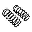 Load image into Gallery viewer, ARB / OME Coil Spring Rear Terracanr - Back View