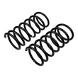 Load image into Gallery viewer, ARB / OME Coil Spring Rear Terracanr - Additional View 5