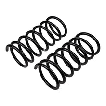 Load image into Gallery viewer, ARB / OME Coil Spring Rear Terracanr - Additional View 5