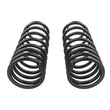 Load image into Gallery viewer, ARB OME Prado 250 Coil Spring - Rear - Side View