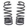 Load image into Gallery viewer, ARB OME Prado 250 Coil Spring - Rear - Back View
