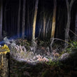 Load image into Gallery viewer, ARB Pureview 800 Flashlight 800 Lumen Flashlight - Side View