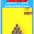 Load image into Gallery viewer, ARP 1/4-20in SS 12pt Nut Kit (10/pkg)
