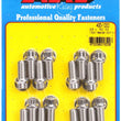 Load image into Gallery viewer, ARP 3/8 x .750 SS 12pt Header Bolt Kit