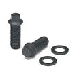 Load image into Gallery viewer, ARP 3/8 x .750 SS 12pt Header Bolt Kit - Side View