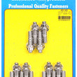 Load image into Gallery viewer, ARP 3/8 x .750 SS 12pt header stud kit